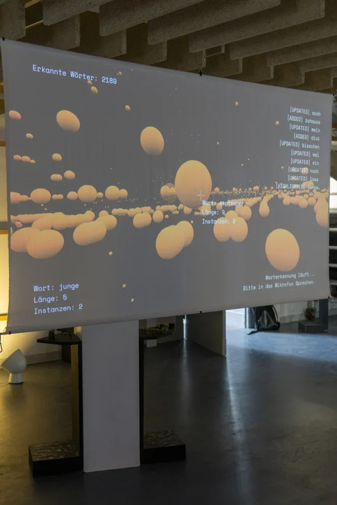 A software and installation to graph every word that is said.